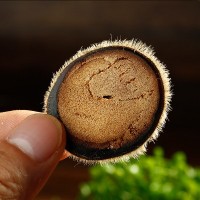 產地鹿茸碎片鹿鹿茸切片泡酒煮粥鹿場直供鹿茸現(xiàn)貨批發(fā)