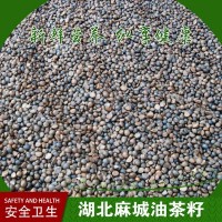 批發(fā)茶籽 油茶籽 湖北油茶籽 黃岡油茶籽 麻城山茶籽 苦茶籽