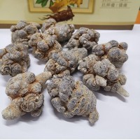 文山三七頭免費(fèi)打粉 三七粉基地水洗不打蠟三七30頭40頭批發(fā)