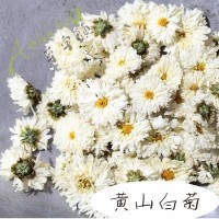 黃山白菊花貢菊散裝花品質(zhì)太陽菊安徽花茶泡水花草茶大貨批發(fā)