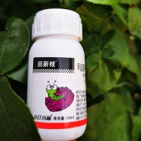 蔬菜果樹甜菜夜蛾鉆心吊絲蟲青蟲殺蟲劑農(nóng)藥廠家量大從優(yōu)殺蟲劑