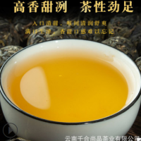 現(xiàn)貨批發(fā) 大雪山龍珠 云南普洱茶生茶 散裝春茶 廠家直發(fā)