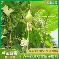 廠家銷售干瓢葫蘆條 葫蘆條壽司材料 食品包扎捆扎用葫蘆絲