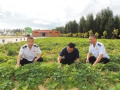 服務(wù)三農(nóng) 汕尾稅務(wù)多管齊下推廣農(nóng)業(yè)稅惠政策