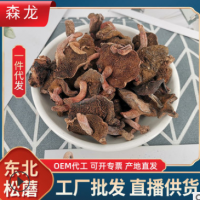 森龍東北山貨松蘑袋裝250g松樹傘干貨廠家粘團子松蘑風(fēng)干蘑菇