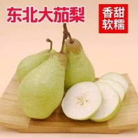 東北茄梨大頭梨 新鮮水果梨當(dāng)季梨軟香現(xiàn)摘大果青梨子整箱梨子