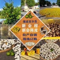 正宗新會(huì)柑、新會(huì)陳皮批發(fā)