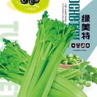 現(xiàn)貨供應(yīng)芹菜籽 產(chǎn)地貨源芹菜子蔬菜種植批發(fā)