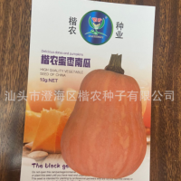 蜜棗金香小南瓜種子批發(fā) 品質(zhì)好口感好 座果強(qiáng)耐儲(chǔ)運(yùn)