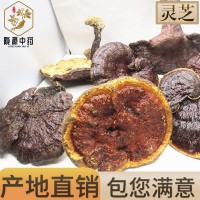 長(zhǎng)期供應(yīng) 長(zhǎng)白山靈芝片產(chǎn)地一手貨源 靈芝批發(fā) 靈芝個(gè) 中藥材