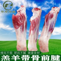 新鮮內蒙羊前腱羊腿肉羊前小腿羊肉批發(fā)生羊腿羊棒骨燒烤火鍋冷凍