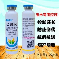 小麥玉米矮壯豐乙烯利玉米控旺縮節(jié)矮化植物生長調(diào)節(jié)劑20g