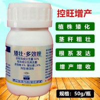 矮壯素多效唑小康控得力植物控旺劑縮節(jié)矮化50g植物生長調(diào)節(jié)劑