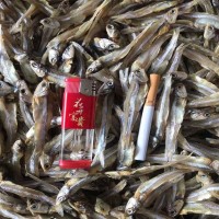 公干魚 深海小魚干 咸干 淡干 大量批發(fā)