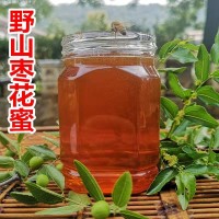 農(nóng)場(chǎng)蜂蜜棗花蜜 蜂農(nóng)自產(chǎn)自銷棗花原蜜貼牌 500g土蜂蜜批發(fā)