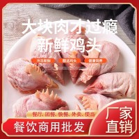 山東華寶廠家直銷冷凍雞肉 生鮮冷凍雞頭 批發(fā)動(dòng)物寵物飼料