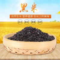 批發(fā)25kg五谷雜糧黑米 袋裝東北黑香米 煮粥做飯營(yíng)養(yǎng)健康濃香