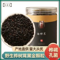 樺樹(shù)茸250g黑金顆粒白樺茸大塊長(zhǎng)白山樺褐孔菌白樺茸代發(fā)廠家直銷