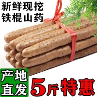 新鮮批發(fā)鐵棍山藥小白嘴麻山藥1斤3斤5斤淮懷山藥粉糯現(xiàn)挖帶土