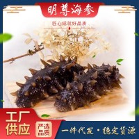 明尊9A級(jí)大連即食海參500g刺參鮮蒸即食海參 廠家批發(fā) 順豐發(fā)貨