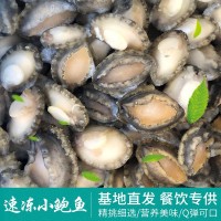 速凍鮑魚(yú)批發(fā)不帶殼冷凍小鮑魚(yú)肉 海鮮餐飲酒店海產(chǎn)品貝類(lèi)廠家