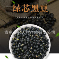 廠家直供黑皮綠仁烘炒黑豆-量大質(zhì)優(yōu)，出口品質(zhì)