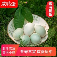 60克多規(guī)格放養(yǎng)烤海鴨蛋 廣西剝開即食鴨蛋 美味營養(yǎng)香濃咸鴨蛋