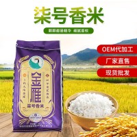 柒號(hào)香米10kg 廠家供應(yīng)金雁大米食品米飯自然清香軟糯香米