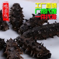 大連純淡干海參 深海海參干貨 廠家直銷貨源充足 可一件代發(fā) 50g