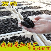 工廠直銷 大連海參半干海參拉缸鹽鹽漬海參500g20-60頭/斤可代發(fā)