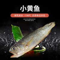 舟山東海3條/400g大黃魚 冷凍簡裝凍貨黃魚 批發(fā)家用鮮美深水黃魚