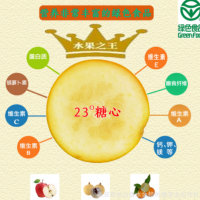 廣西特產(chǎn)融安金桔中國(guó)地理標(biāo)志產(chǎn)品新鮮水果現(xiàn)摘特級(jí)脆蜜金柑包郵