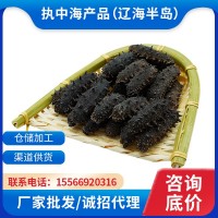 執(zhí)中大連純淡干海參工廠批發(fā)遼刺參禮盒非即食海參源頭