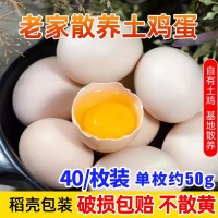 雞蛋整箱40枚土雞蛋 農(nóng)家散養(yǎng)草雞蛋笨雞蛋柴雞蛋可批發(fā)破損必賠 2箱起批