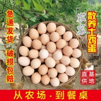 農(nóng)家土雞蛋批發(fā)山林散養(yǎng)新鮮雞蛋60枚笨雞蛋柴雞蛋鮮雞蛋  2箱起批