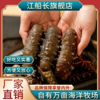 江船長鎖鮮高壓冷凍海參500g8粒裝深海刺參方便烹飪批發(fā)廠家直銷  20盒起批