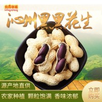 現(xiàn)貨供應(yīng)沁州黑黑花生五谷豆?jié){原料辦公室休閑零食小吃 2件起批