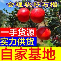 四川會(huì)理突尼斯甜青軟籽石榴皮薄多汁大紅石榴新鮮水果