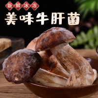 云南特產(chǎn)速凍鮮美牛肝菌可清炒涮火鍋煲湯美味食材現(xiàn)貨批發(fā)