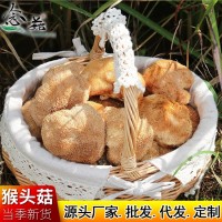 猴頭菇大貨批發(fā) 福建古田農(nóng)家干貨美味煲湯猴頭菇散裝批發(fā)500g  2件起批