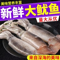 大魷魚 整只 冷凍香辣魷魚須海鮮大章魚足深海魷魚頭八爪魚鮮活水