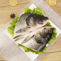 新鮮冷凍白鰱魚(yú)頭供應(yīng)批發(fā)帶肉速凍大胖頭魚(yú)廠商供貨酒店食材