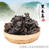 云南黑木耳肉質(zhì)厚實(shí)爽口黑木耳干貨香菇散裝批發(fā) 10公斤裝