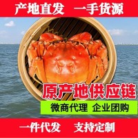 大閘蟹蘇州陽澄湖鎮(zhèn)中秋禮品企業(yè)團(tuán)購批發(fā)代理螃蟹禮盒提貨卡禮券