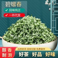 碧螺春茶葉袋裝明前綠茶散茶批發(fā)家用云霧綠茶2022新茶罐裝龍井茶