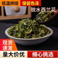 脫水西蘭花 FD西蘭花凍干蔬菜脫水蔬菜 凍干食品凍干西藍(lán)花頭批發(fā)