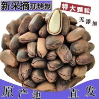 新貨東北開口松子大顆粒袋裝500g新炒松子堅果零食特產(chǎn)批發(fā)松子