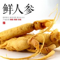 批發(fā)新鮮人參 長(zhǎng)白山特產(chǎn)人參泡酒煲湯人參 東北特產(chǎn)人參一件代發(fā)