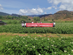 國家科技特派團送“技”下鄉(xiāng) 助力麗江寧蒗農(nóng)業(yè)高質(zhì)量發(fā)展